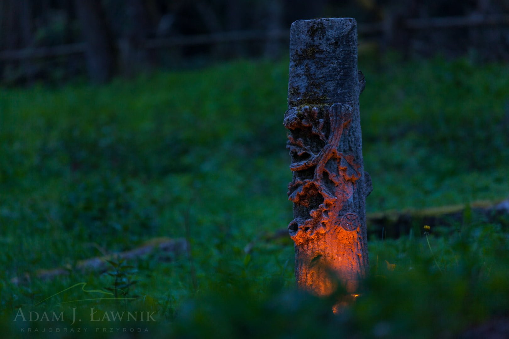 Charakterystyczny dla regionu nagrobek na cmentarzu ewangelickim Dąbrowa (Springe)