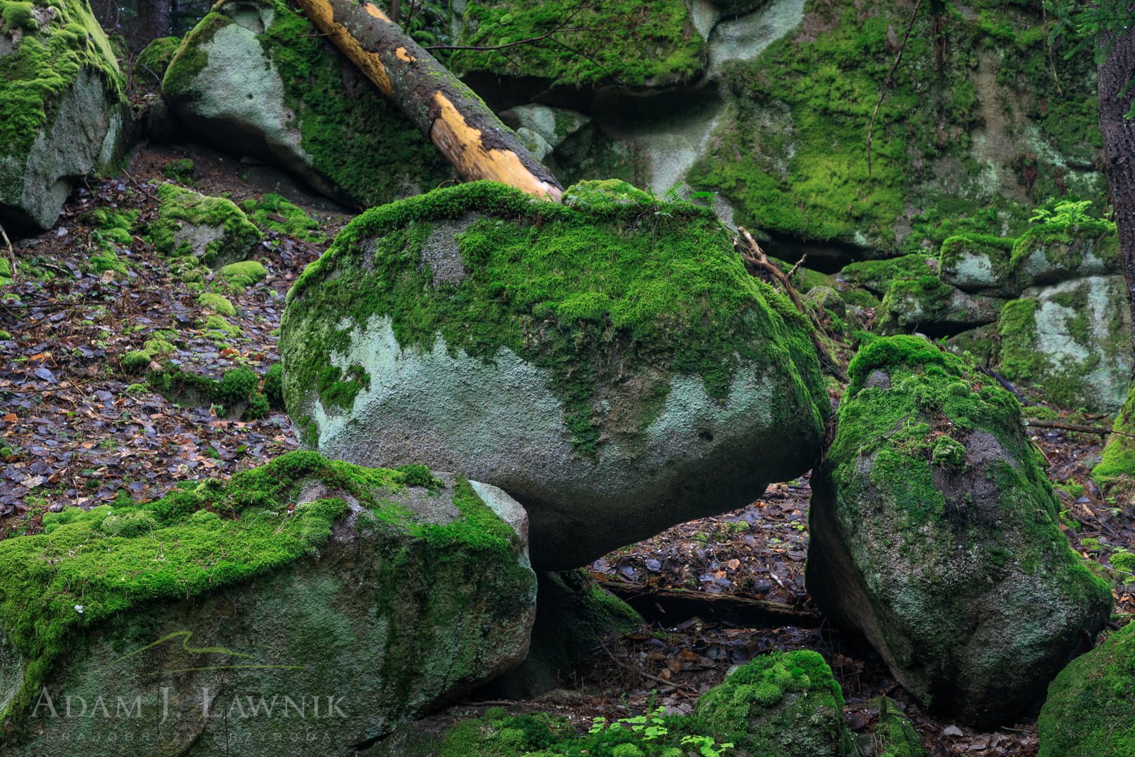 Diabli Kamień w Magurskim Parku Narodowym