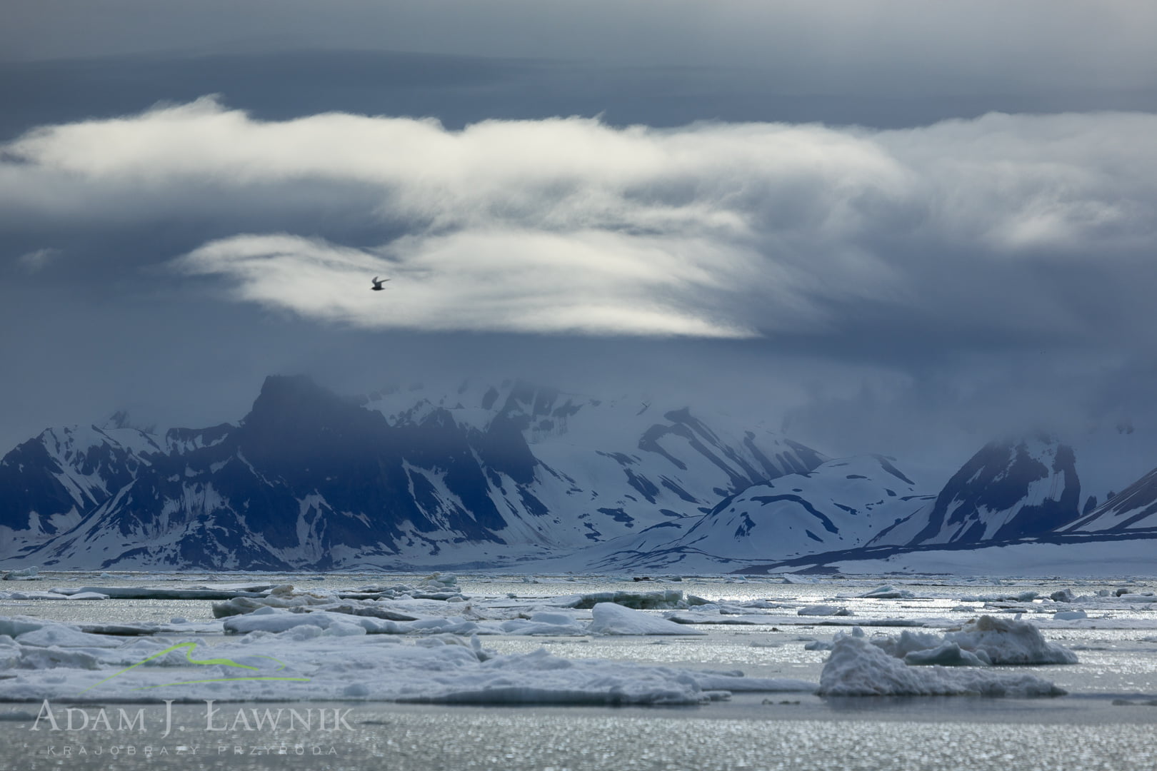 Spitsbergen 0606-01234C